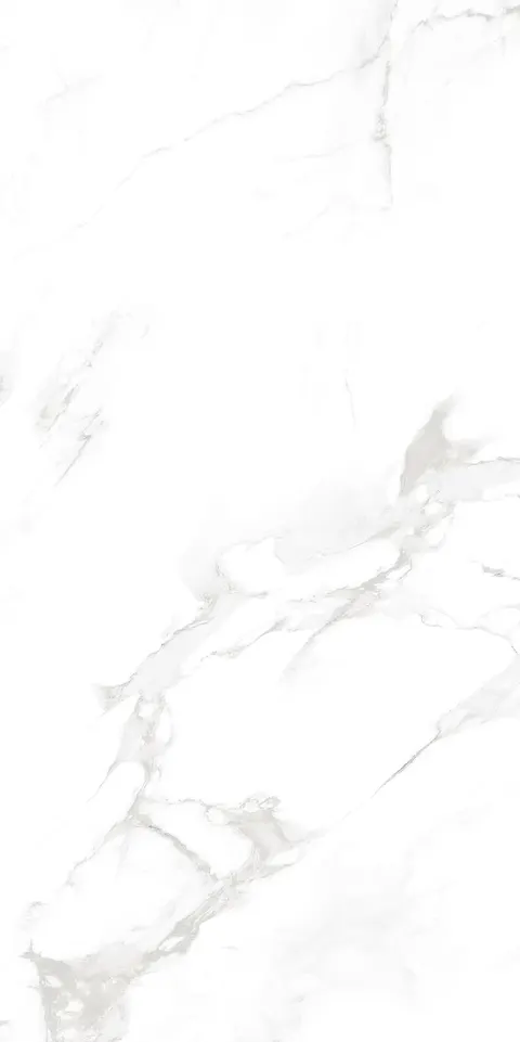 SMOKE WHITE SILK view 5